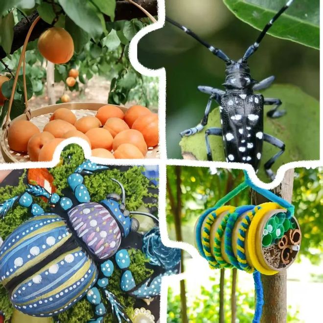 先看！端午节北京活动汇总来了九游会网址是多少实景美图抢(图18)